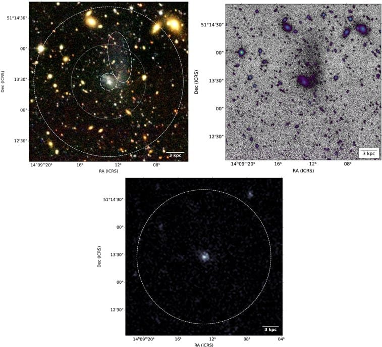 A technical illustration from an Astrophysical Journal paper about UGC9050-Dw1. Upper left: a Canada-France-Hawai'i Telescope composite color image of UGC 9050-Dw1, constructed from the g, r, and i bands of the W3−1−3 field. The white dotted circular aperture marks r UDG (36 6), and the dashed circular aperture marks 2 × r UDG (73 2). Upper right: a high-contrast g-band CFHT image of UGC 9050-Dw1 constructed with a histogram stretch, with a colored log-stretched mask to emphasize brighter regions. Bottom: GALEX NUV image of UGC 9050-Dw1. UV emission in this UDG is associated with the central core feature. Additional speckles within the region of the UDG are consistent with noise. Creative Commons Attribution 4.0 license. Credit: Fielder, et al. 2023
