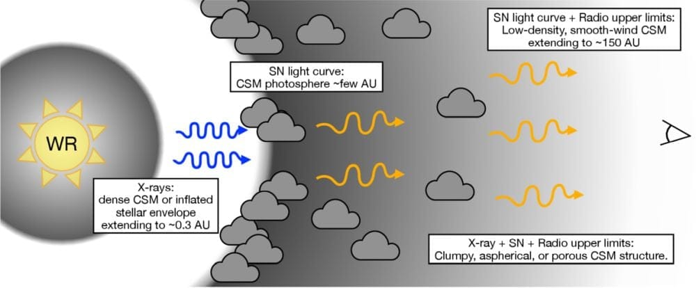 This simple drawing illustrates the WR progenitor and the two CSM shells around the supernova. "Our analysis favors two distinct regions of CSM that produce the X-ray (inner region) and SN light curve (outer region)," the authors explain. "Further, we favor an outer CSM structure that is clumpy, aspherical, porous, and/or characterized by a steep density drop outside the region probed through the SN light curve." Image Credit: Rastinejad et al. 2026. ApJL