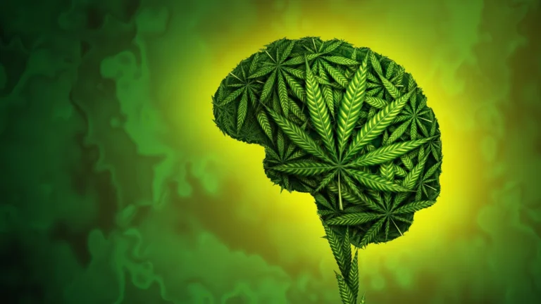 Uso de cannabis na adolescência reduz crescimento cognitivo