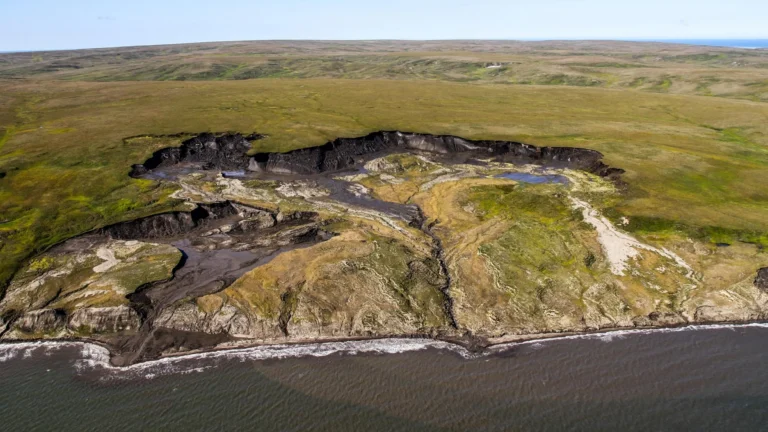 Permafrost ártico libera carbono, mas sedimentos retêm a maior parte