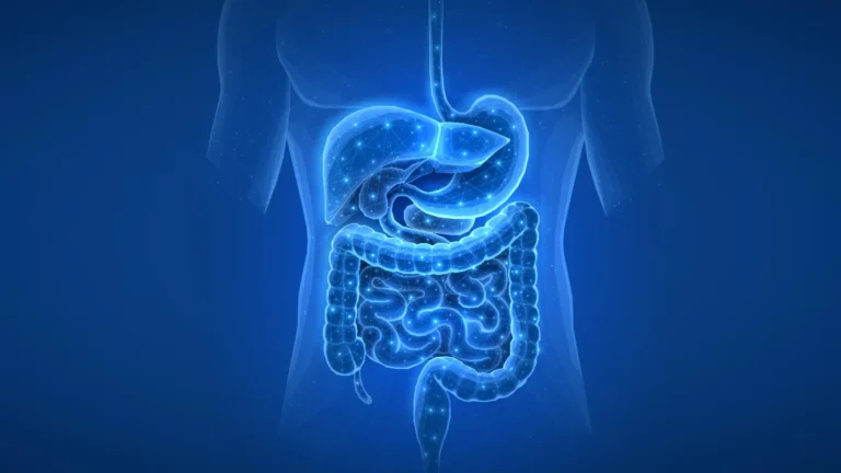 Estudo revela impacto duradouro de medicamentos no microbioma intestinal