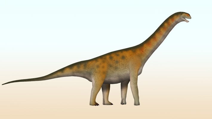 Paleontólogos identificam novo dinossauro na China