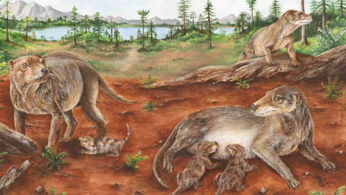 Estudo revela origem da viviparidade 90 milhões de anos antes