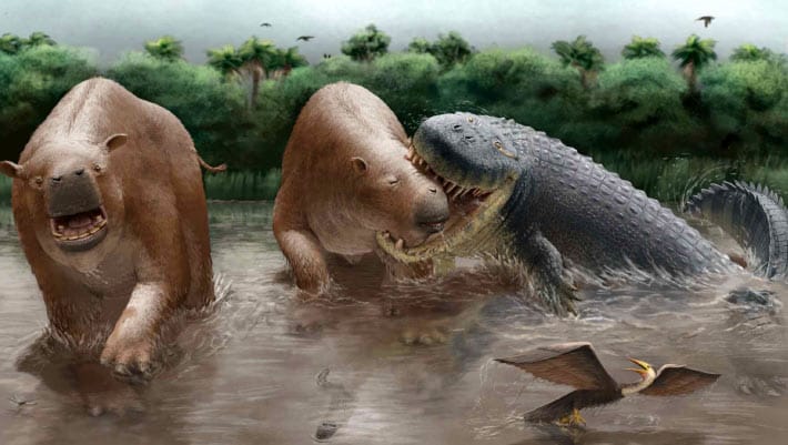 Crocodilos gigantes predavam mamíferos na América do Sul