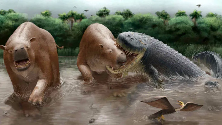 Crocodilos gigantes predavam mamíferos na América do Sul