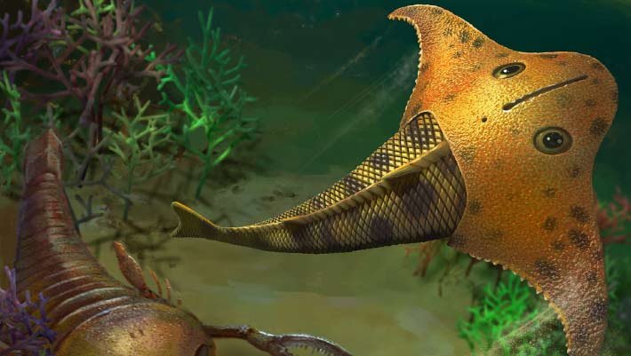 Paleontólogos identificam nova espécie de peixe sem mandíbula