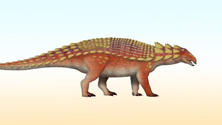 Nova espécie de dinossauro armadurado é identificada no Japão
