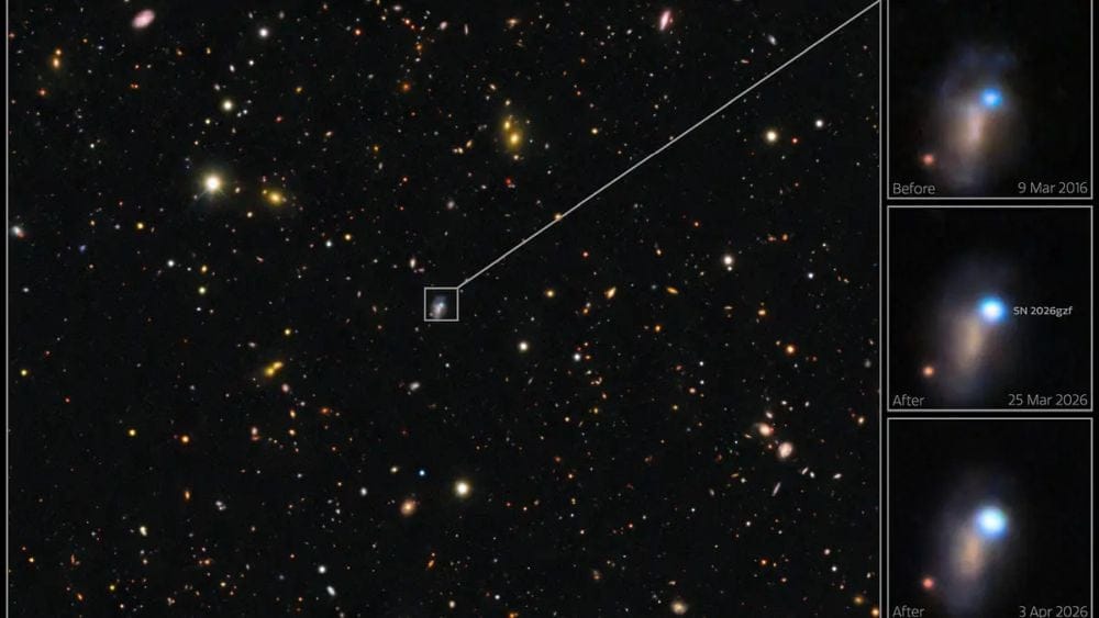 These images show how SN 2026gzf changed from early March to early April 2026. Images taken on March 25 and April 3, 2026 show the supernova brightening. An archival image of the host galaxy from March 9, 2016 reveals a bright blue source at the location of the supernova. These images were captured with the 570-megapixel DOE-fabricated Dark Energy Camera (DECam). Image Credit: CTIO/NOIRLab/DOE/NSF/AURA