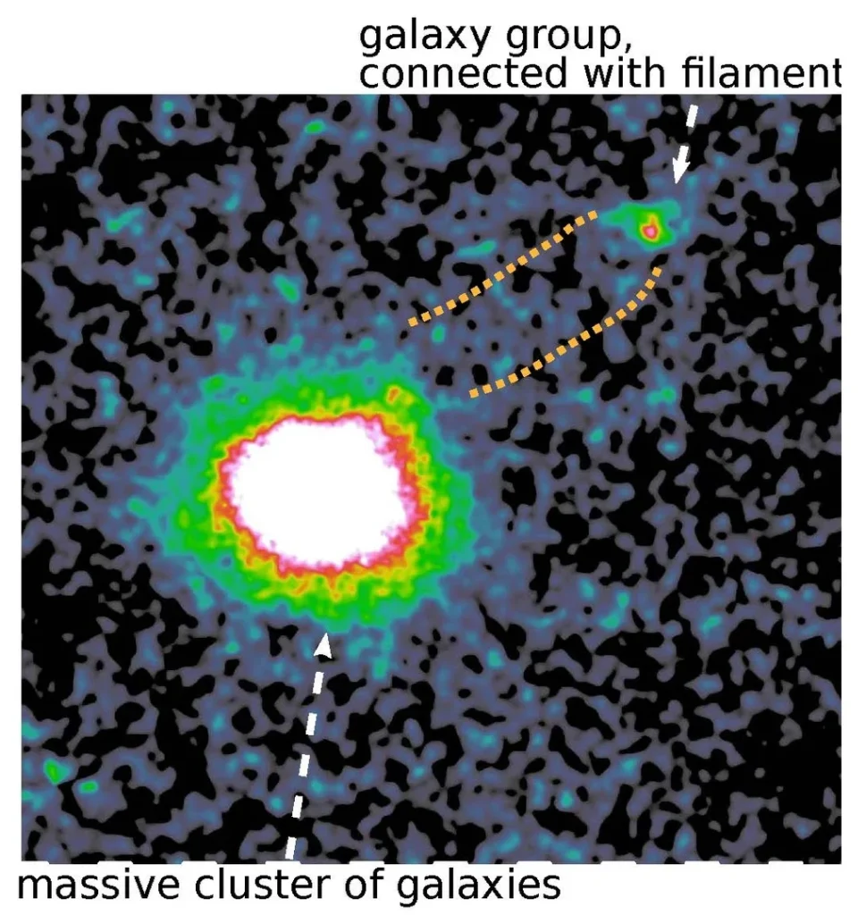 Galaxy cluster A3266 in X-rays, linked by a filament of hot gas to a neighbouring galaxy group. The Bonn team measured the faint outer glow for the first time and found gas hotter and denser than the models predict (Credit : Jakob Dietl/Uni Bonn/eROSITA-DE)