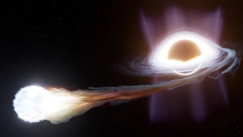 An artist’s impression of a tidal disruption event, where a star gets too close to a black hole and is torn apart, its debris forming an accreting disk of material around the black hole. If the star isn't torn apart, it loses some of its material to the black hole, creating a repeating tidal disruption event. (Credit: Ralf Crawford (STScI)