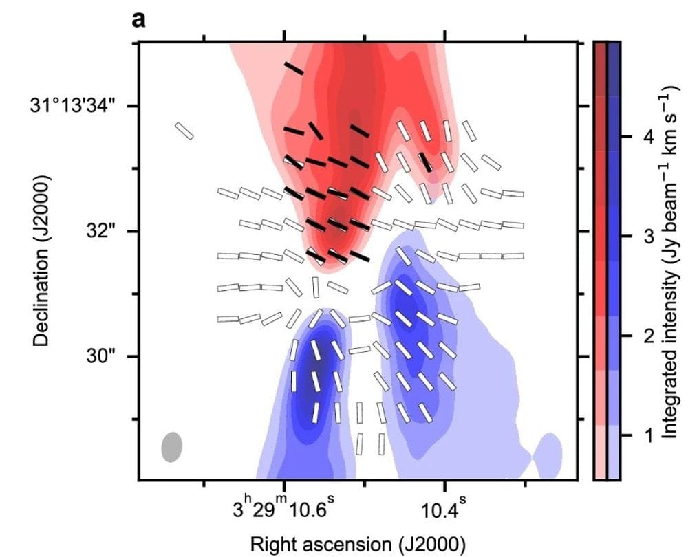 This figure from the research illustrates some of the findings. One of the protostar's jets is moving away from us and is redshifted, while the other is moving toward us and is blueshifted. The black lines show the polarization orientations of the CO redshifted emissions, while the white lines show the magnetic field orientations inferred from the polarization of the dust. The black and white combine to create the toroidal fields that drive the jets. Image Credit: Ching et al. 2026. NatComm.