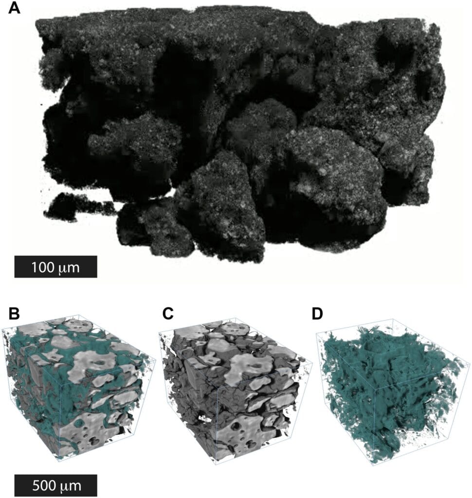 Data from X-ray tomography of simulated lunar regolith showing a) the dry sample, b) a rendering of icy microstructures prepared with small amounts of water, c) grains with the ice removed, and d) ice with the grains removed. The ice acts like a cement in the pore spaces between the grains of dust. This test result showed how the ices could exist in the regolith of the Moon. Credit: Lisabeth, Schmerr, et al.