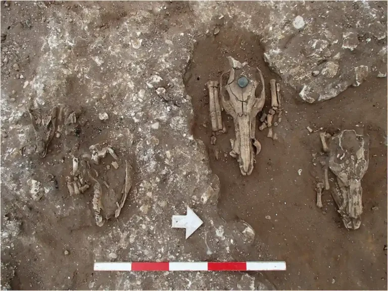 Descoberta de santuário romano em Suffolk reescreve história local