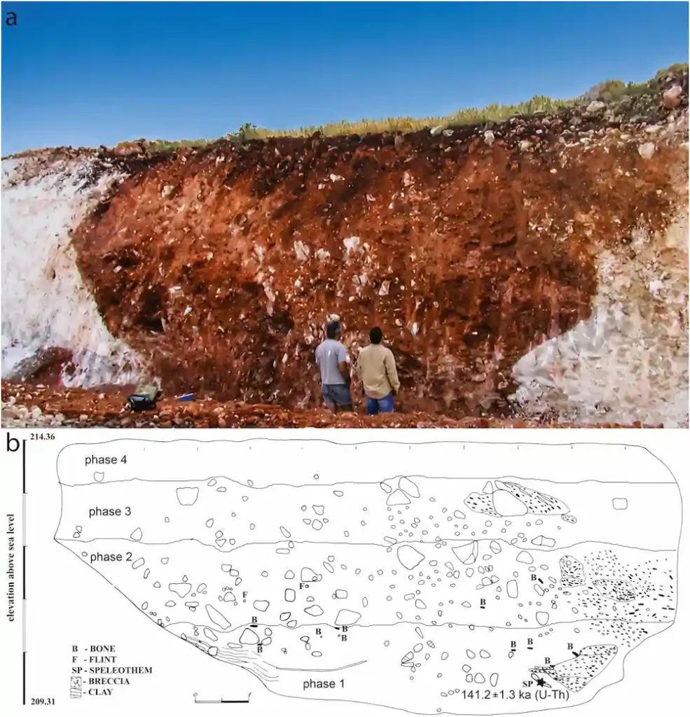 ancient wildfires taught humans make pottery
