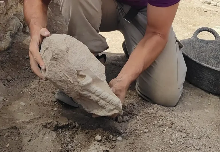 Estátua de cabeça esculpida é descoberta na Espanha antiga