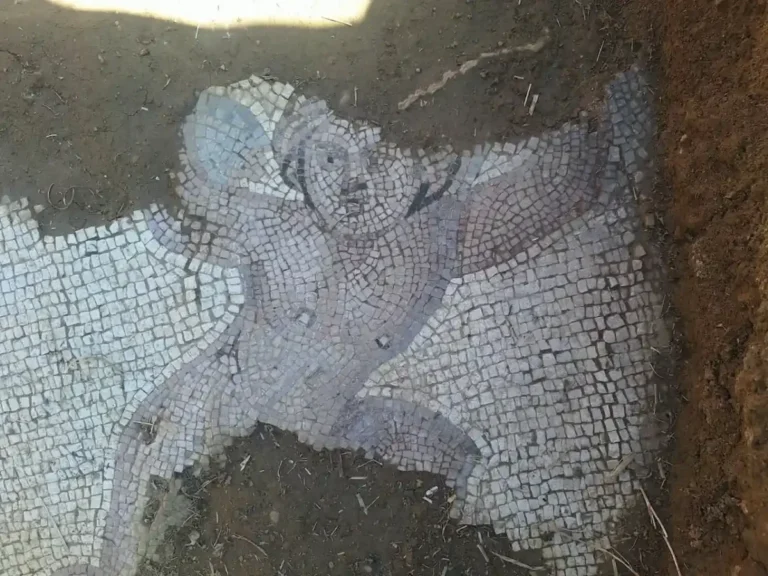 Descoberta de mosaicos romanos revela antiga cidade na Albânia