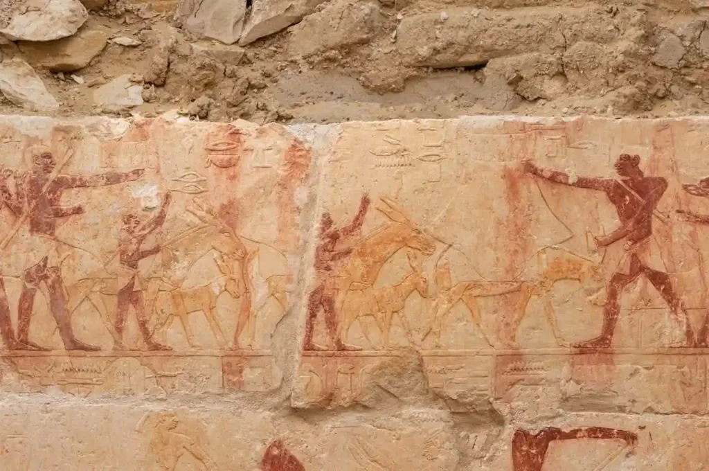 mastaba paintings tomb saqqara egypt