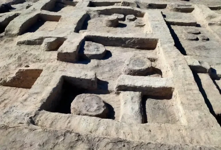 Túmulo de cavalo de guerra de 3.200 anos é descoberto no Egito