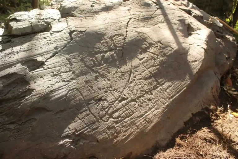 Novo painel de arte rupestre é encontrado no Parque Nacional de Naquane