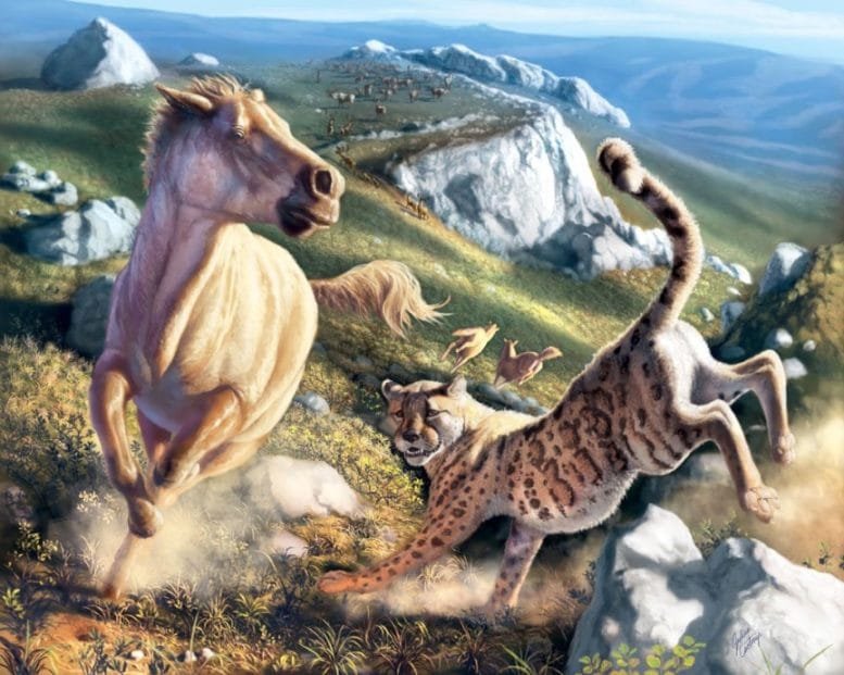 Artistic Illustration of Miracinonyx Hunting Prey