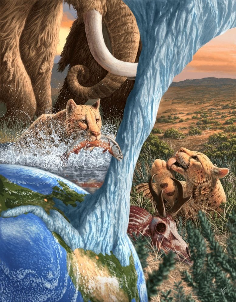 Artistic Rendering of Two Miracinonyx