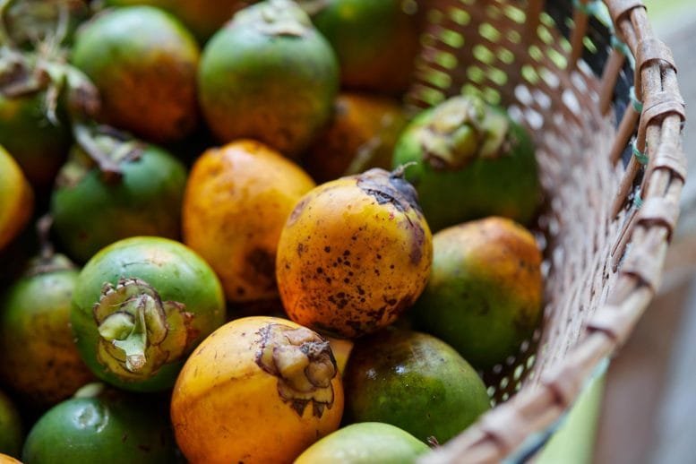 Betel Nuts Basket