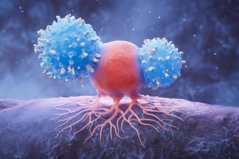 Proteína antioxidante em tumores pode comprometer imunoterapia