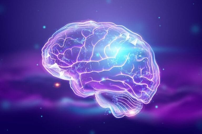 Estudo revela que exercício pode beneficiar memória como o sono