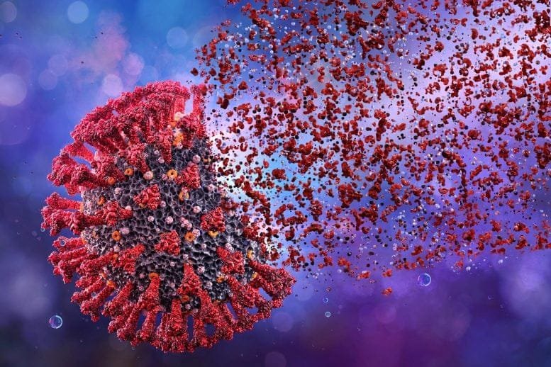 COVID Coronavirus Destruction