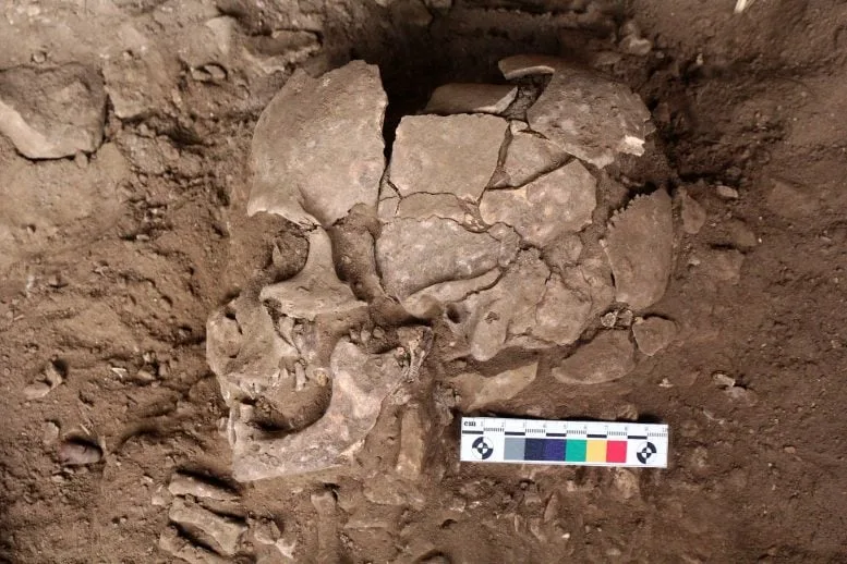 CPL 2a Skeleton