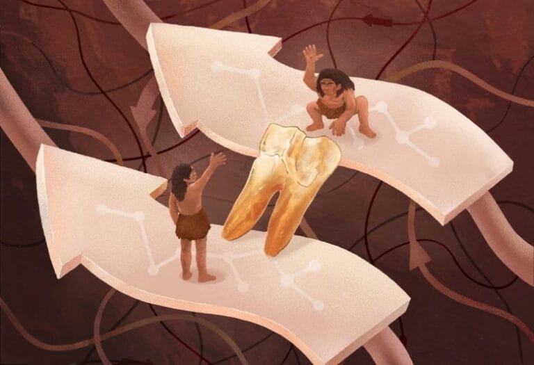 Estudo revela conexão genética entre Homo erectus e Denisovans