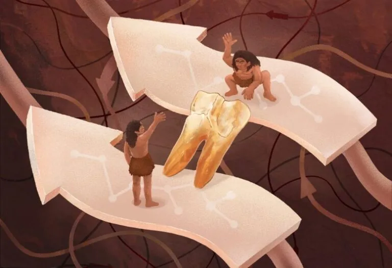 Estudo revela conexão genética entre Homo erectus e Denisovans