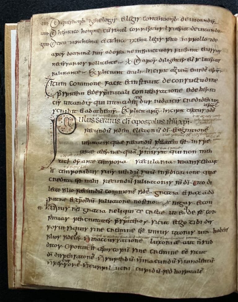 Manuscritos medievais revelam vírus de ovelhas com 3.500 anos