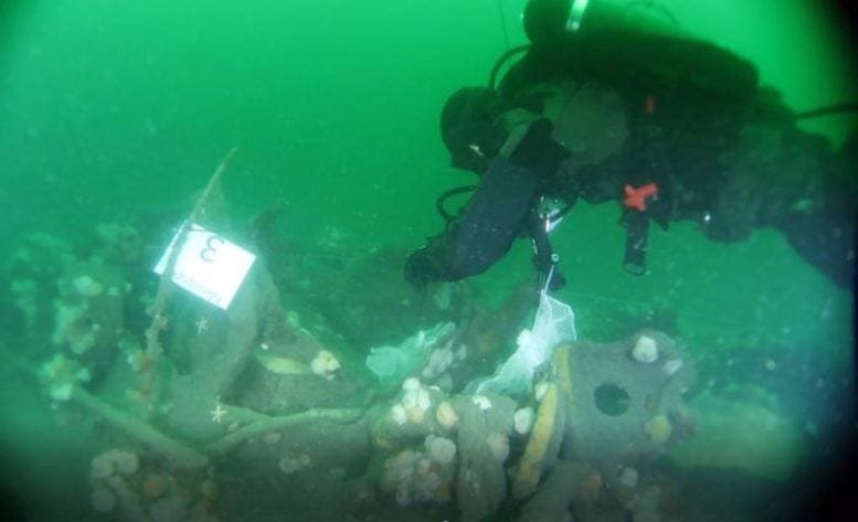 Danish Diver Collects Mussels From WWI Submarine Wreck
