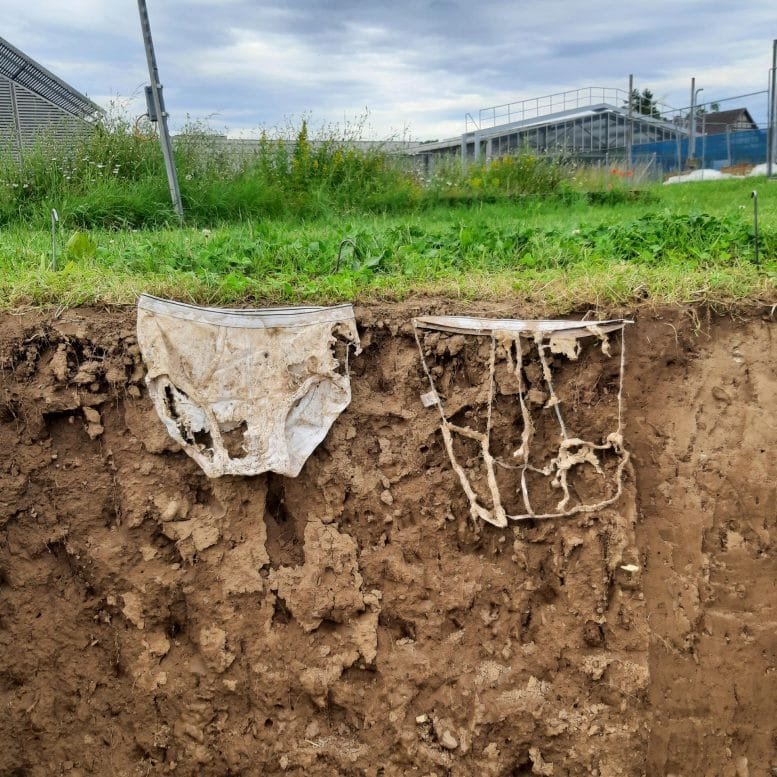 Decomposed Buried Underwear
