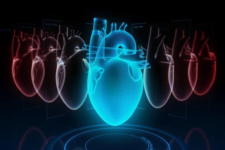 Digital Heart Models AI Scan