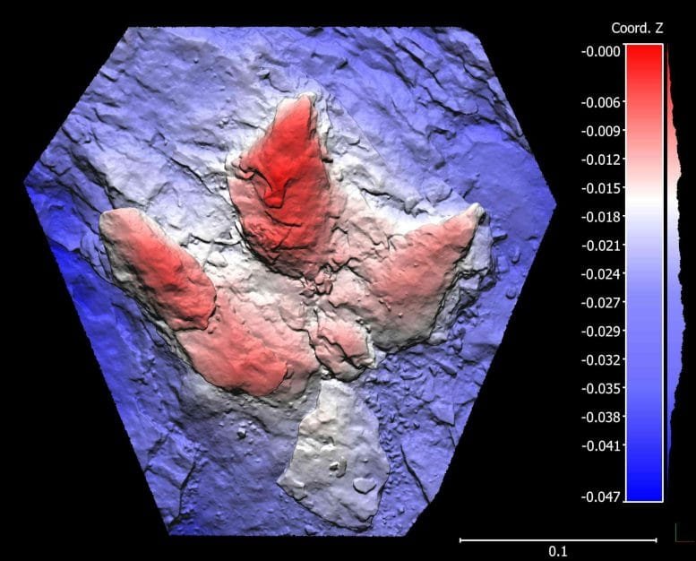 Digital Model of a Carnivorous Theropod Dinosaur Track