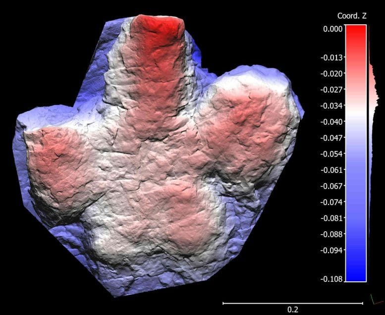 Digital Model of an Ornithopod
