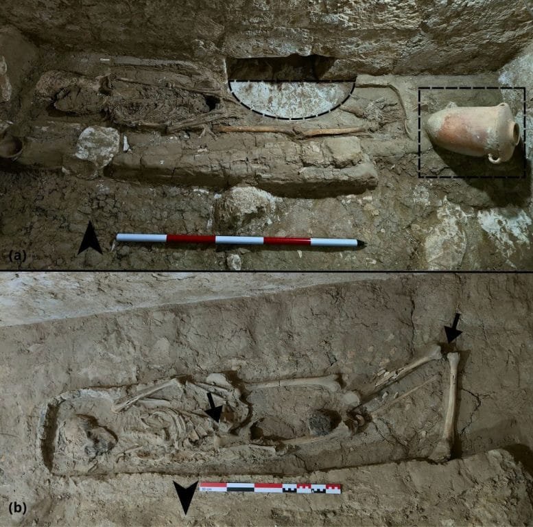 Disturbed Mummified Burials in Chamber 3