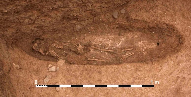 Exposed Skeletal Remains at Oued Beht