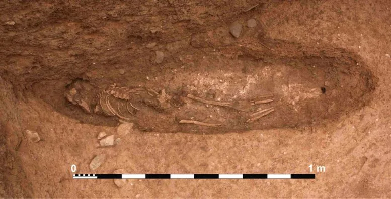 Exposed Skeletal Remains at Oued Beht