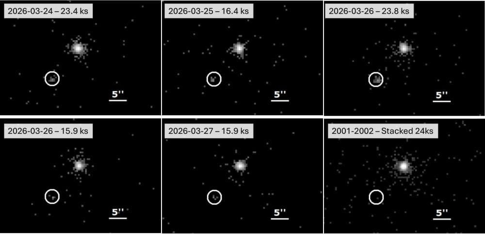 The first five panels are the Chandra's observations from the ToO campaign in March 2026, during the predicted outburst. In each one, AT 2016blu is emitting x-rays. The sixth panel is stacked Chandra data from the early 2000s, when AT 2016blu was a stable system and had produced no outbursts. Image Credit: Aghakhanloo et al. 2026. ApJ