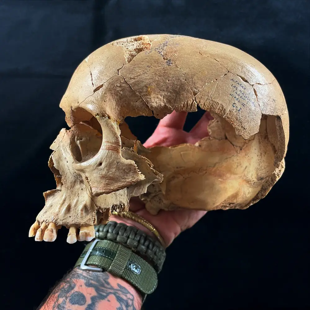 prehistoric neolithic caves spain cannibalism