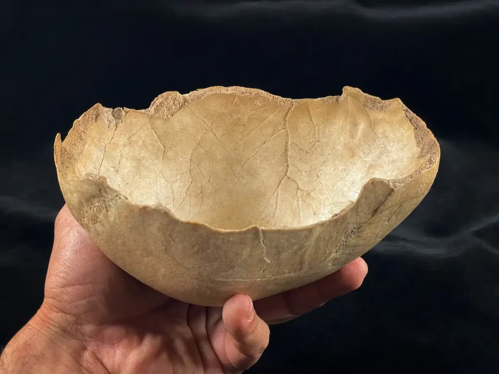 prehistoric neolithic caves spain cannibalism