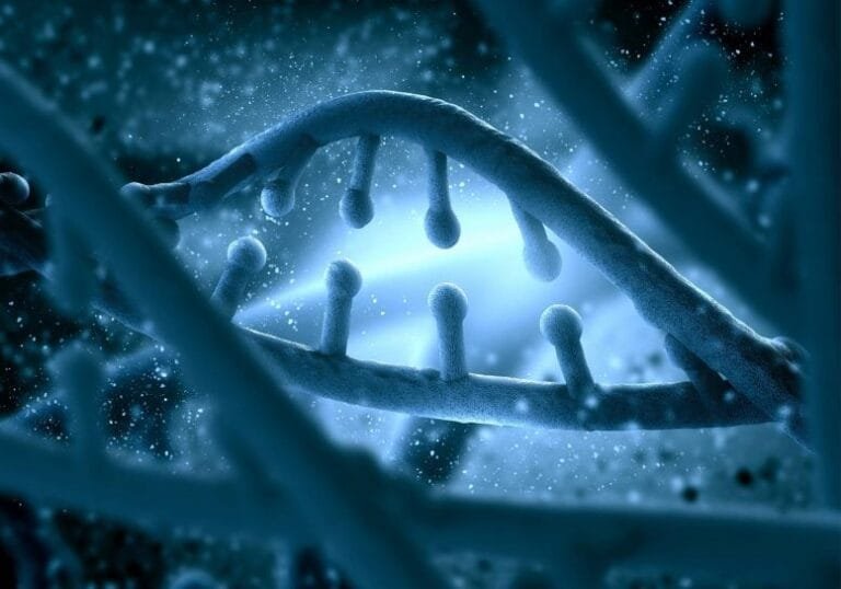 Cientistas visualizam dobra do DNA com alta resolução