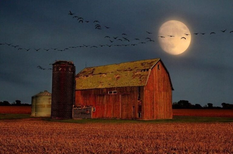 Vênus e Lua da Colheita iluminam céu em setembro