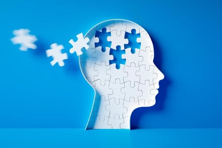 Head Brain Diseases Puzzle Pieces Autism Mental Health