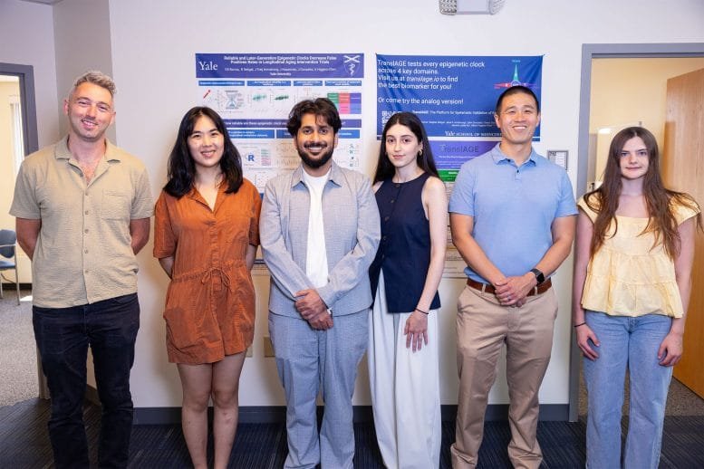 Higgins Chen Lab Research Team on Epigenetic Biomarkers of Aging