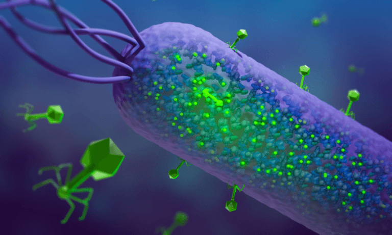 Cientistas descobrem enzima viral que modifica proteínas bacterianas