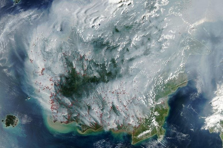 Indonesia Peatland Fires